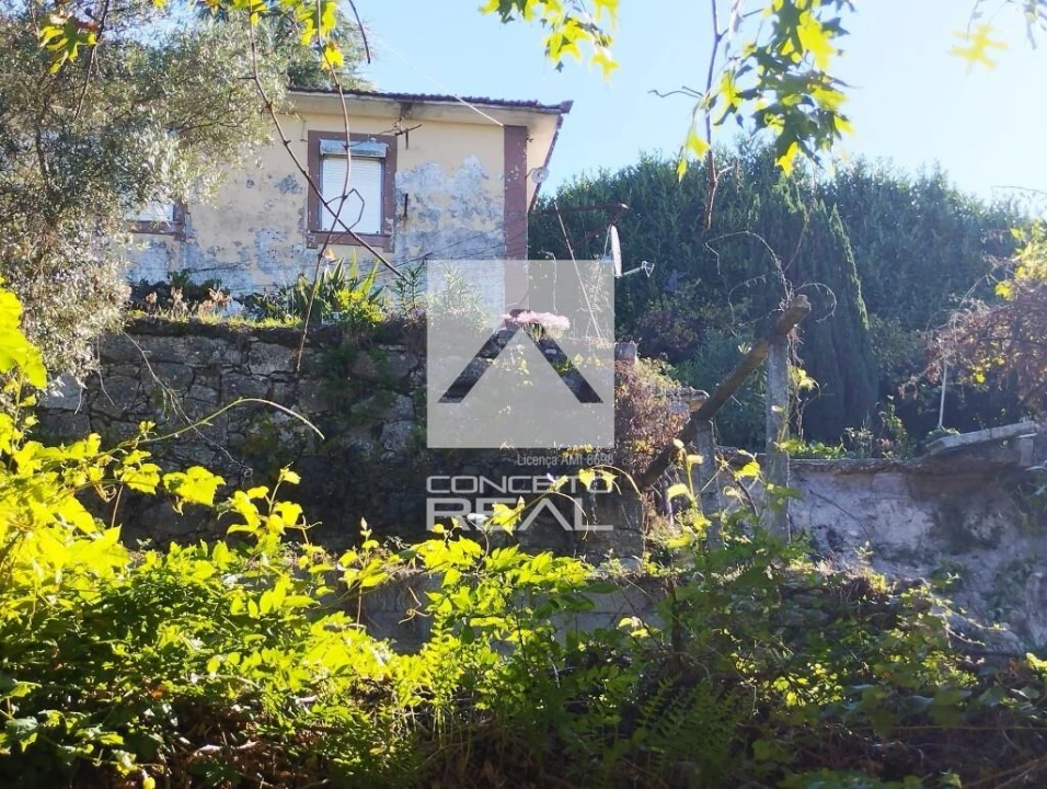 Quinta T4 para Venda em Rio de Moinhos Foto 14