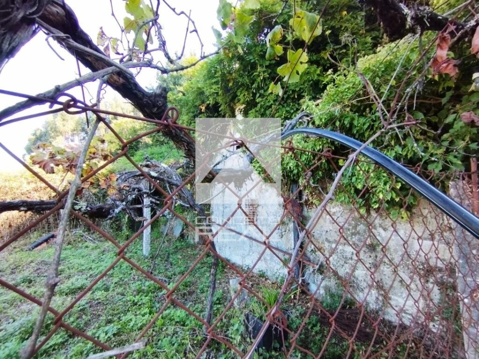 Quinta T4 para Venda em Rio de Moinhos Foto 33