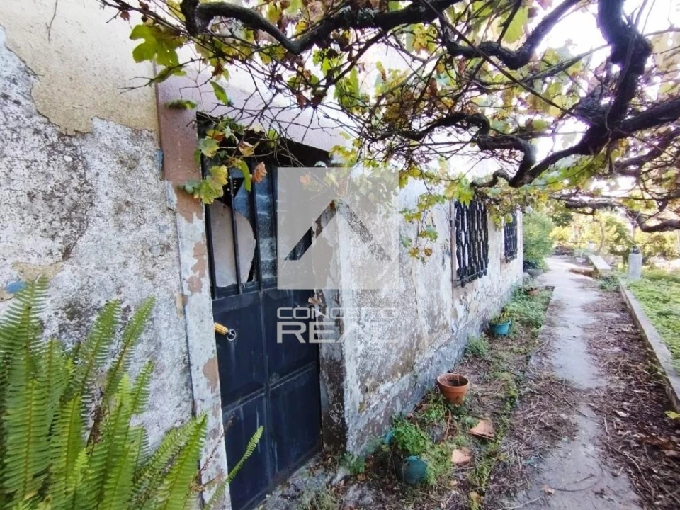 Quinta T4 para Venda em Rio de Moinhos Foto 20