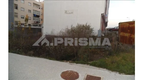 Terreno para Venda em Castelo Branco