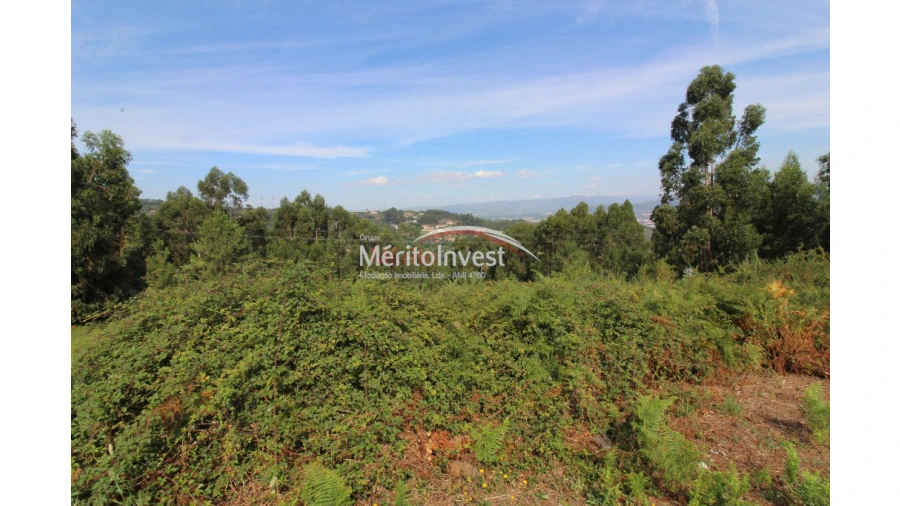 Terreno para Venda em Covelas Foto 2