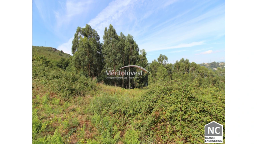 Terreno para Venda em Covelas Foto 1