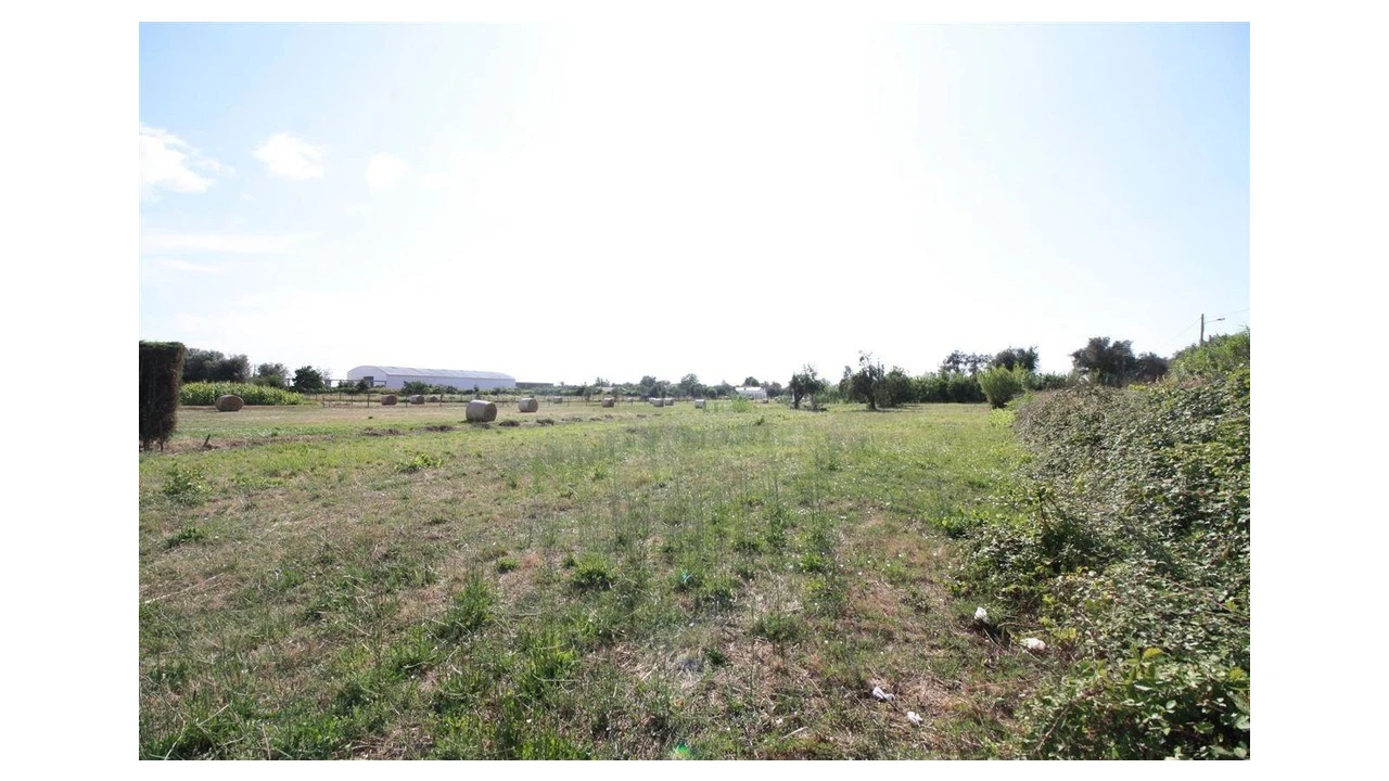 Terreno para Venda em Santo Varão Foto 5