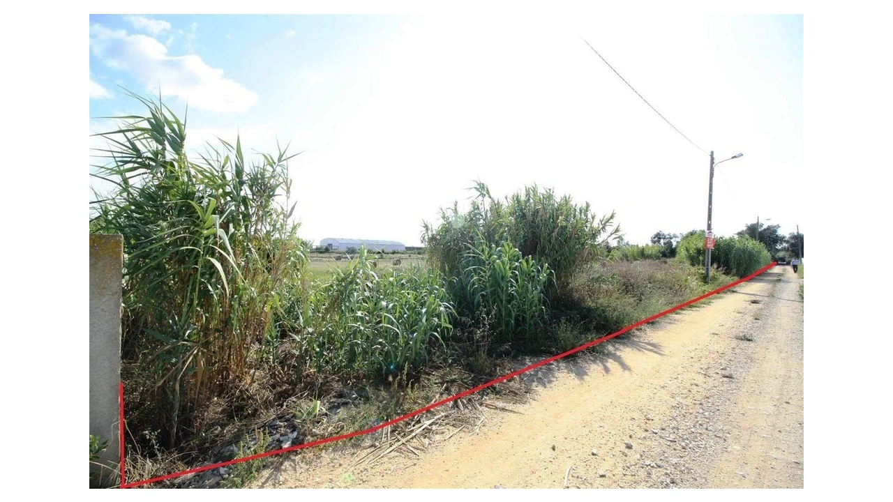 Terreno para Venda em Santo Varão Foto 6