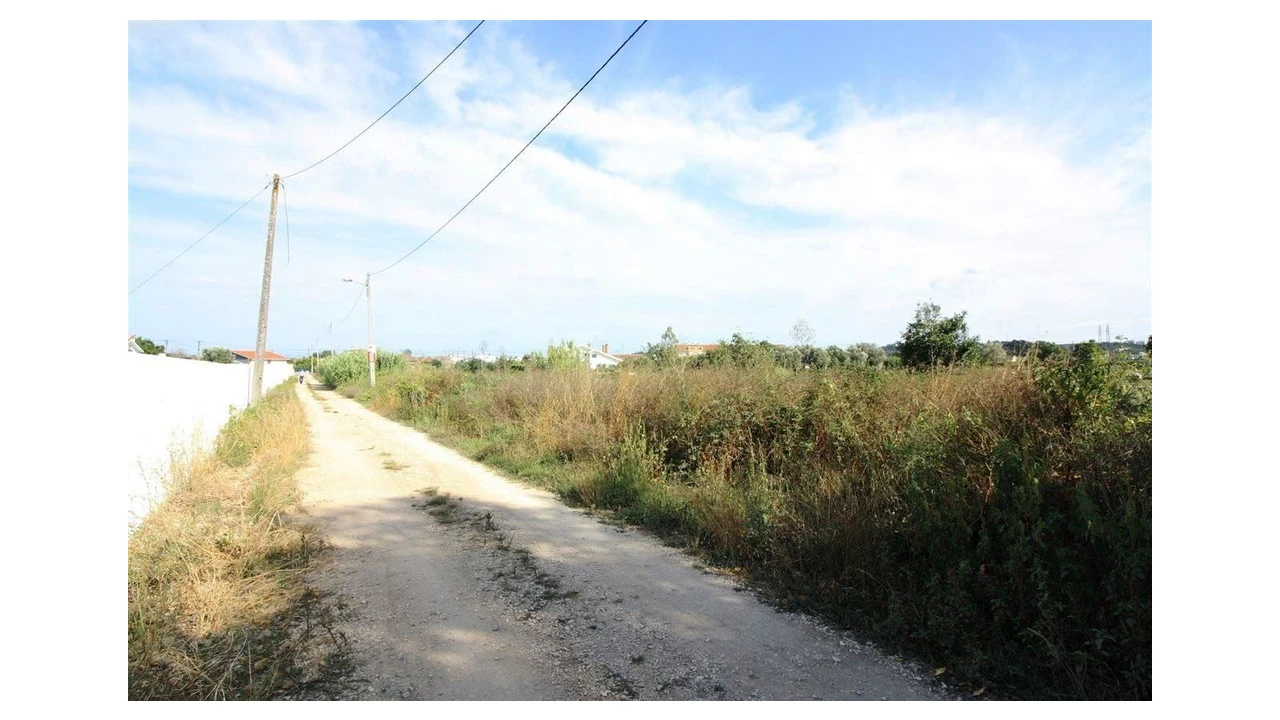 Terreno para Venda em Santo Varão Foto 4