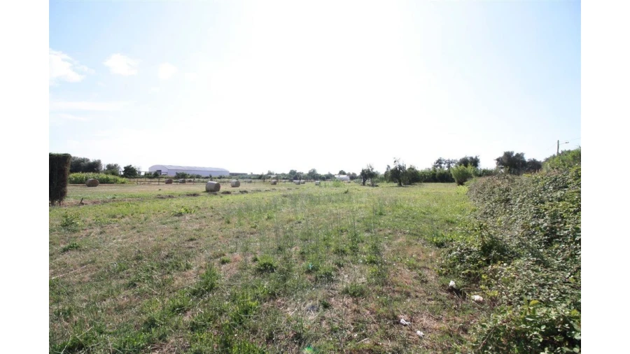 Terreno para Venda em Santo Varão Foto 5