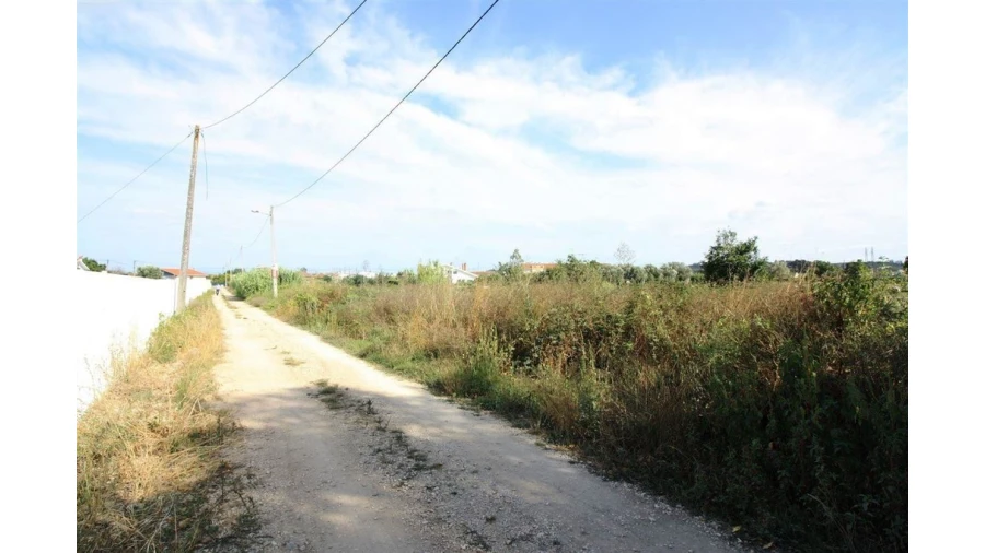 Terreno para Venda em Santo Varão Foto 4
