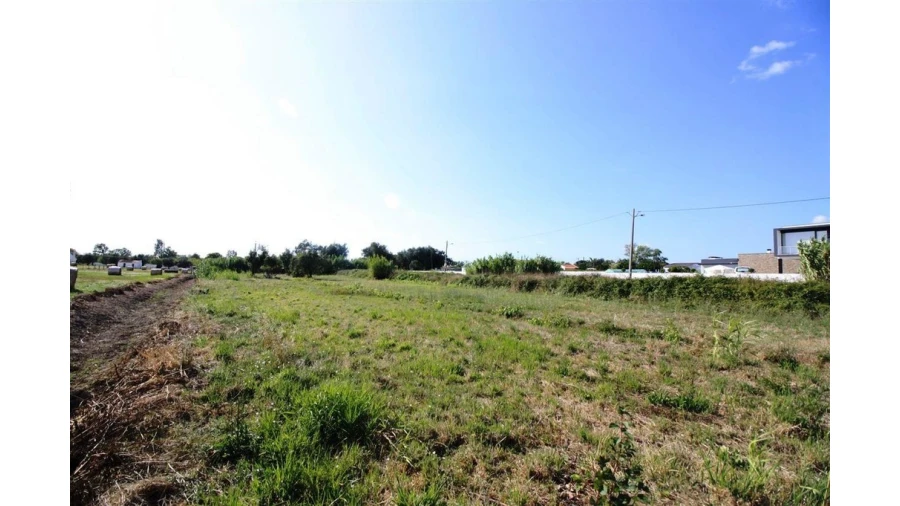 Terreno para Venda em Santo Varão