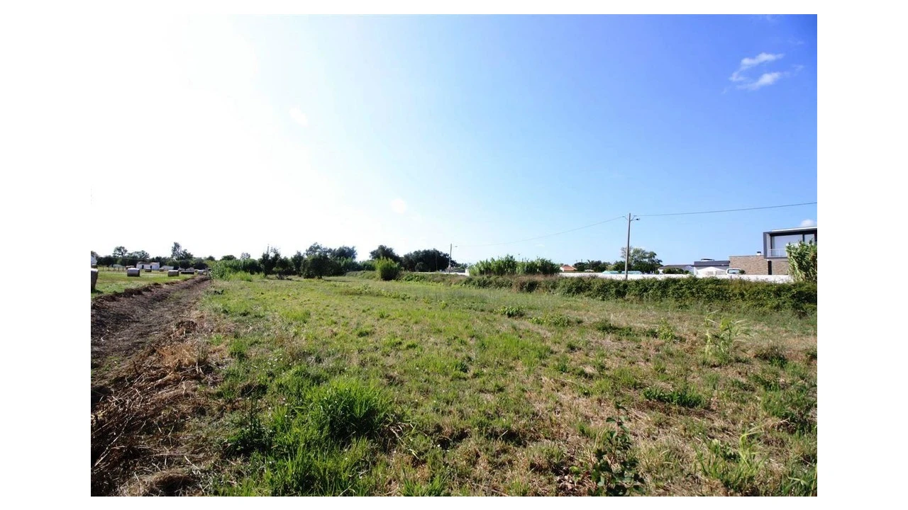 Terreno para Venda em Santo Varão Foto 1