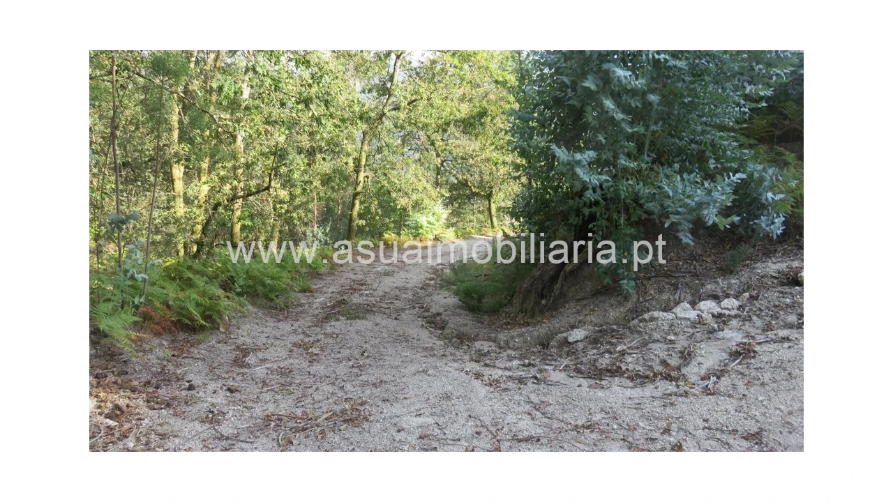 Terreno para Venda em Valdosende Foto 5