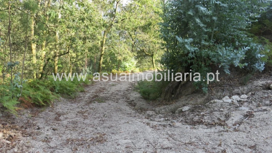 Terreno para Venda em Valdosende Foto 5