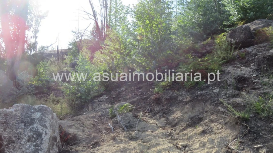 Terreno para Venda em Valdosende Foto 7