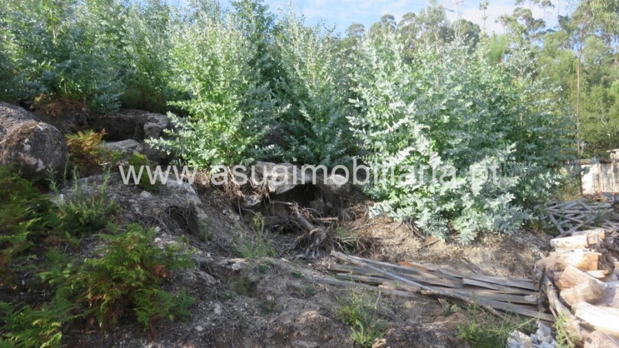 Terreno para Venda em Valdosende Foto 1