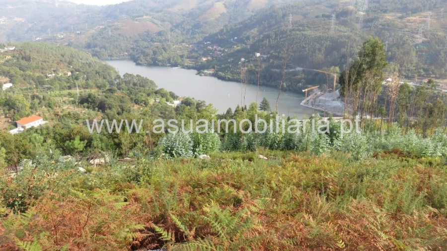 Terreno para Venda em Valdosende Foto 6