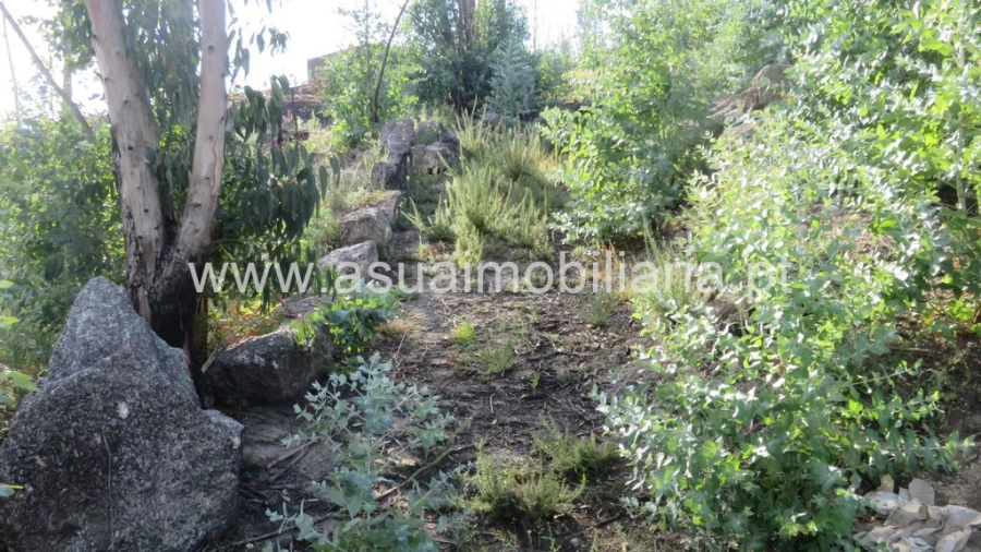 Terreno para Venda em Valdosende Foto 2