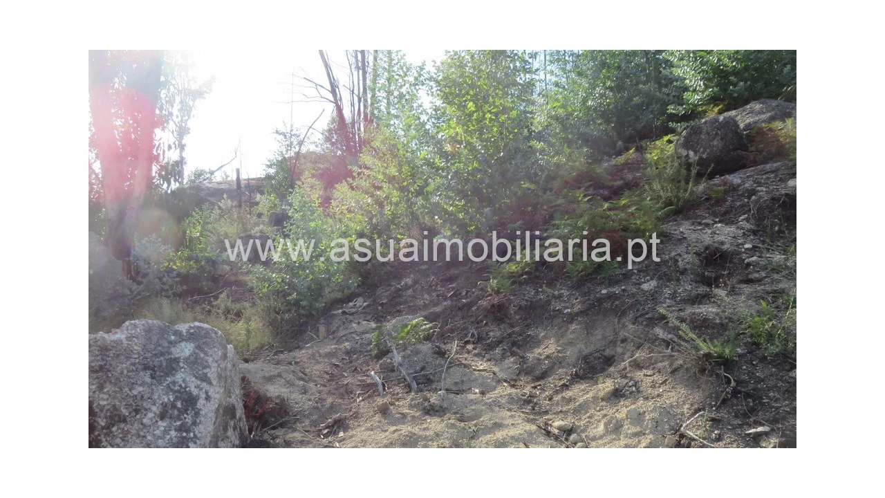 Terreno para Venda em Valdosende Foto 7