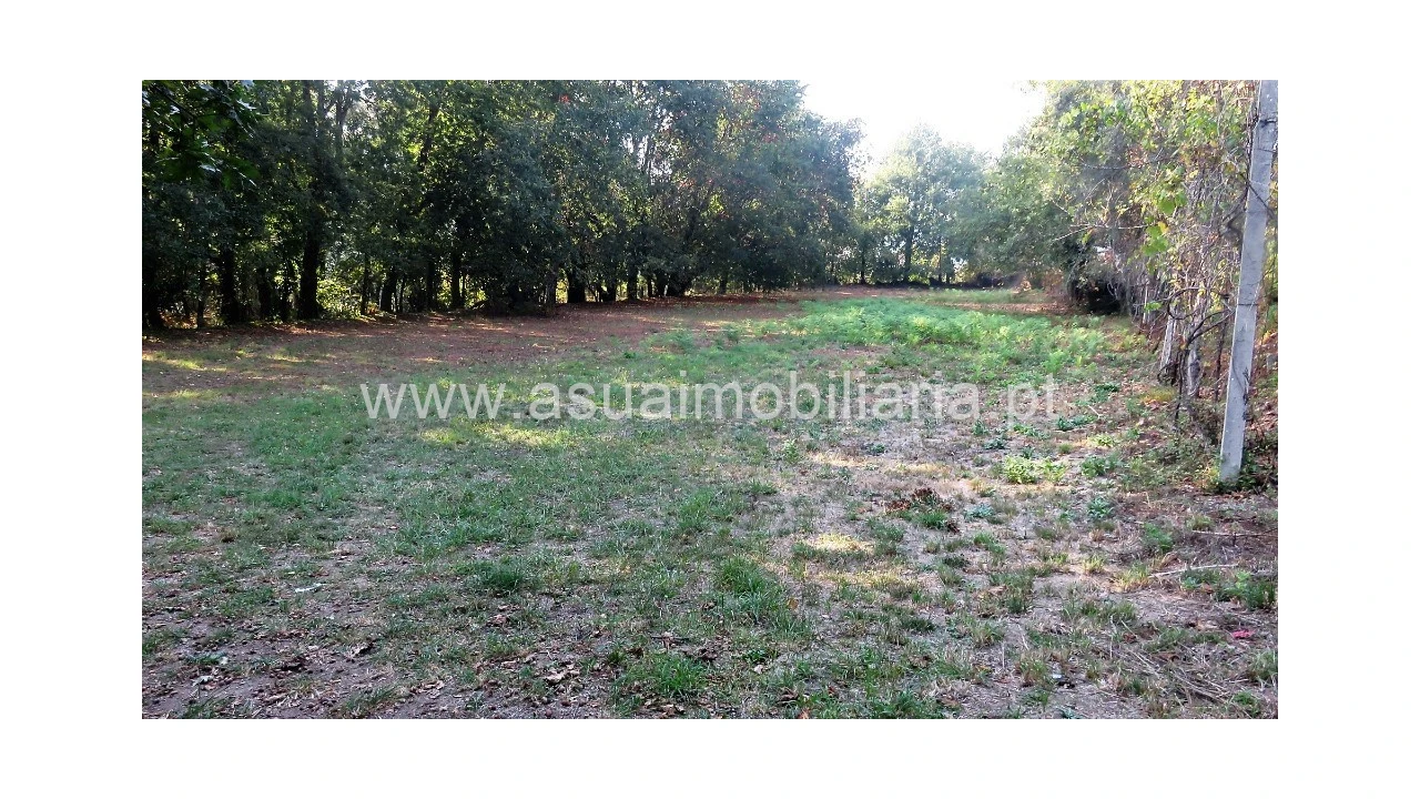 Terreno para Venda em Goães Foto 3