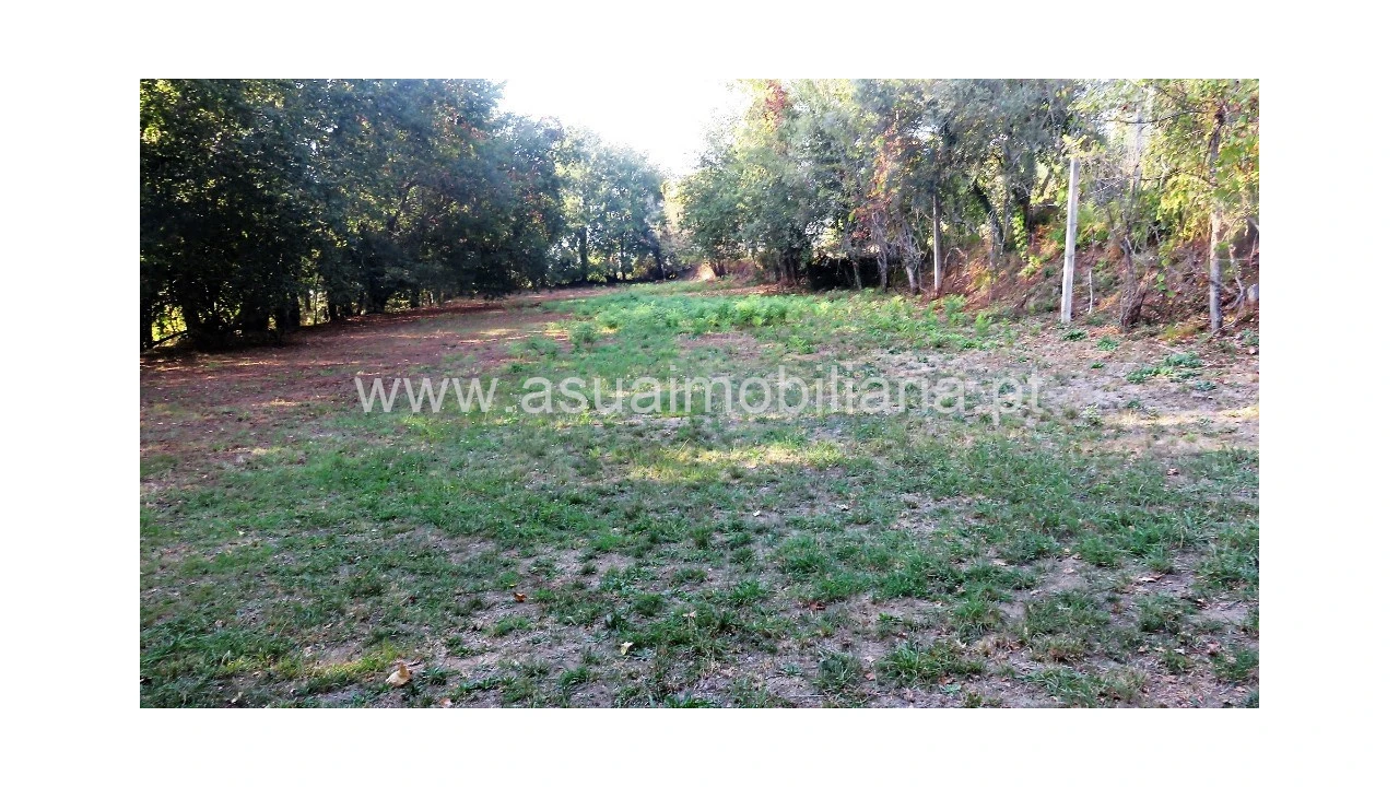 Terreno para Venda em Goães Foto 5