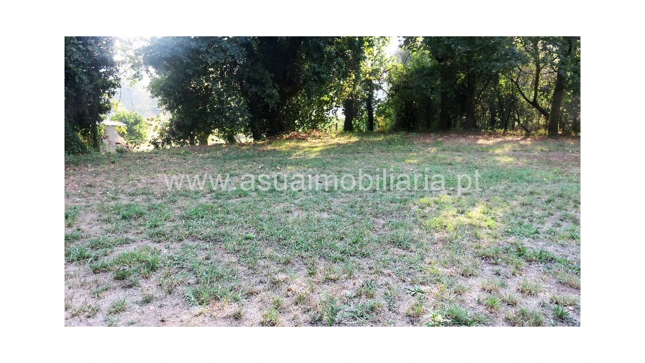 Terreno para Venda em Goães Foto 6