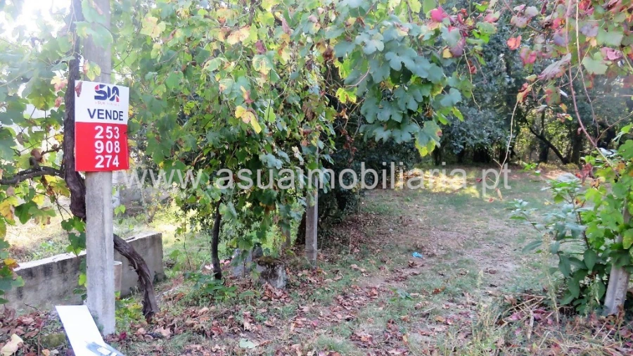 Terreno para Venda em Goães Foto 2