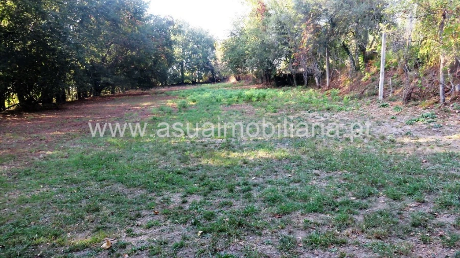 Terreno para Venda em Goães Foto 5