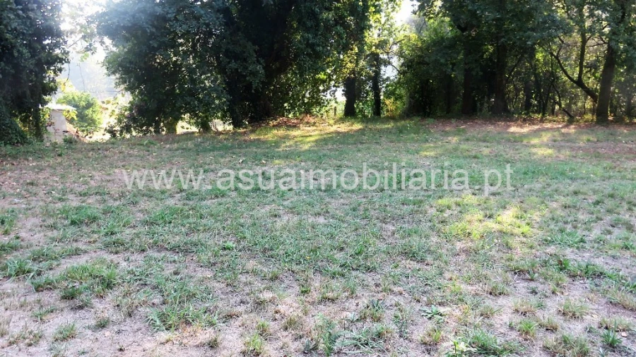 Terreno para Venda em Goães Foto 6