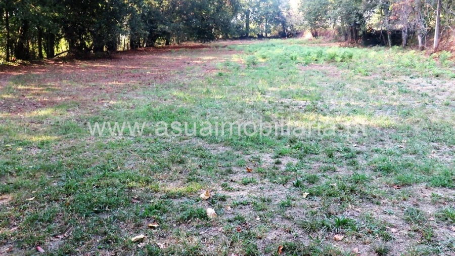 Terreno para Venda em Goães Foto 4