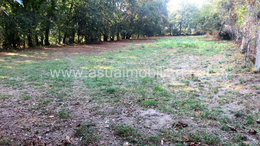 Terreno para Venda em Goães Foto 7