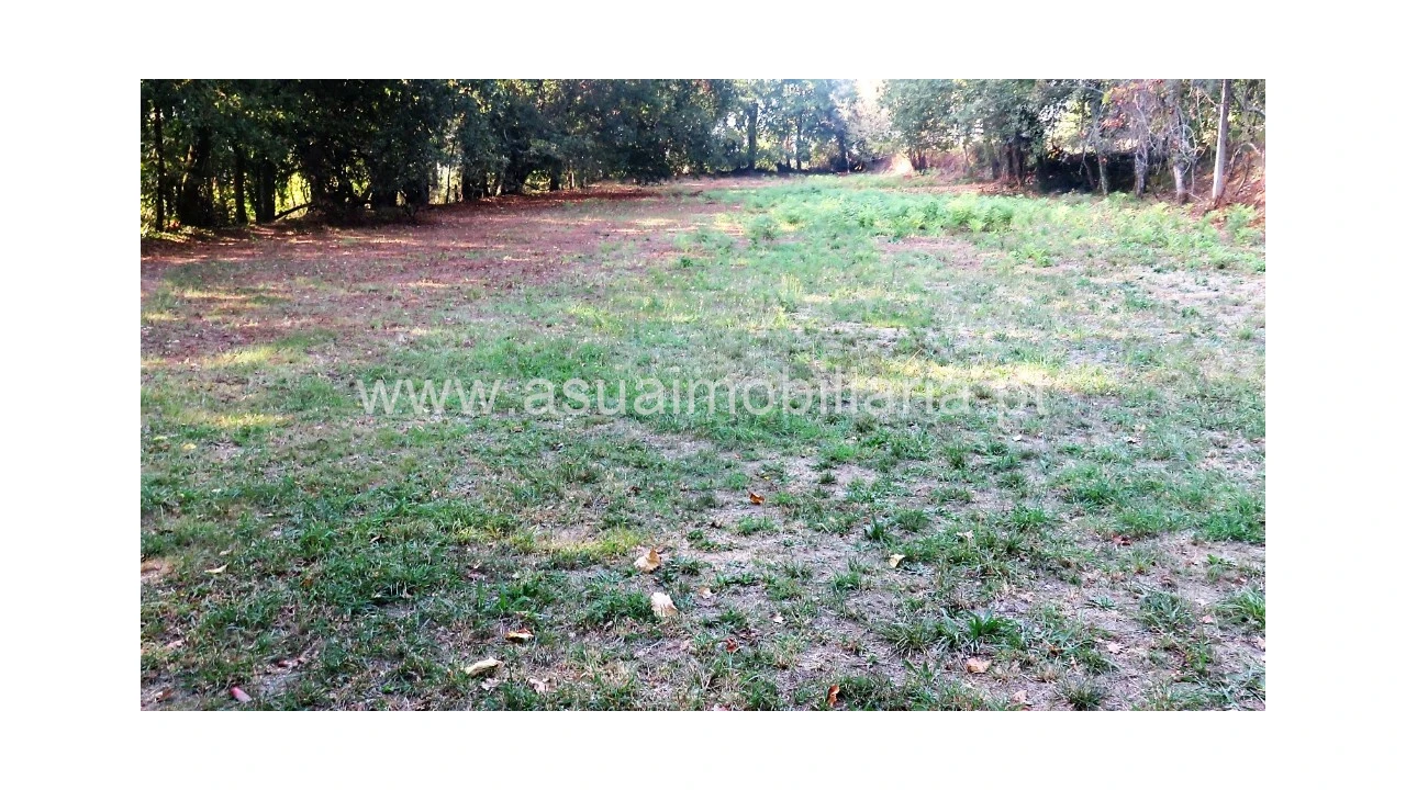 Terreno para Venda em Goães Foto 4