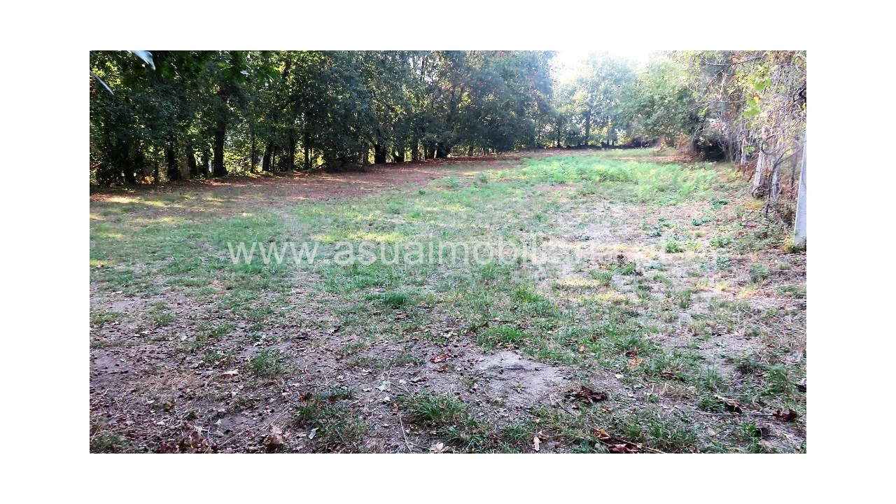 Terreno para Venda em Goães Foto 7