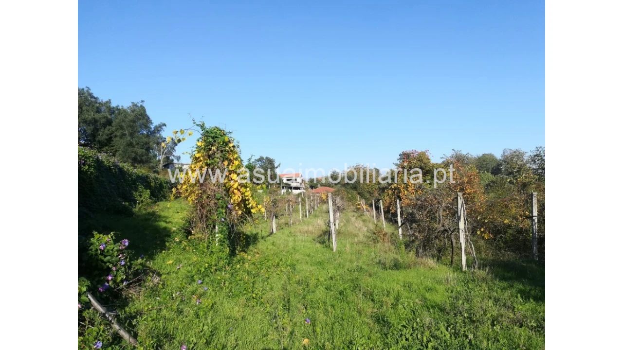 Terreno para Venda em Ferreiros, Prozelo e Besteiros Foto 2