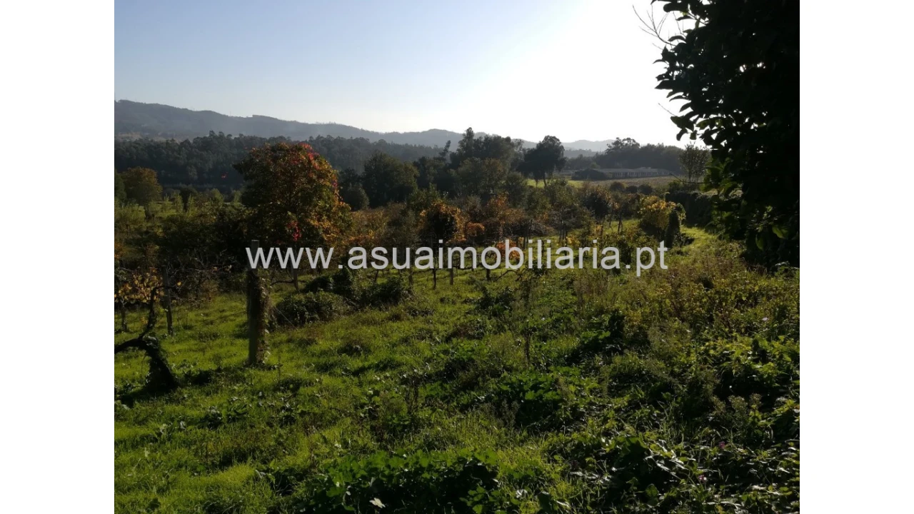 Terreno para Venda em Ferreiros, Prozelo e Besteiros Foto 5