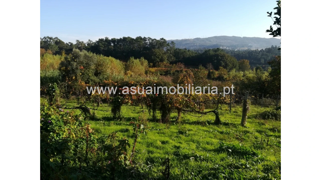Terreno para Venda em Ferreiros, Prozelo e Besteiros Foto 4