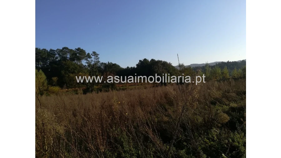 Terreno para Venda em Ferreiros, Prozelo e Besteiros Foto 7