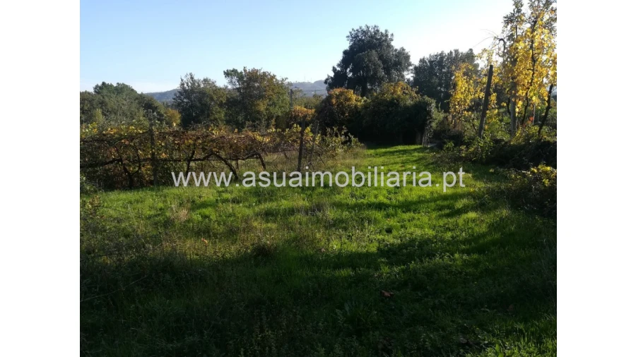 Terreno para Venda em Ferreiros, Prozelo e Besteiros Foto 3