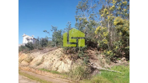 Terreno para Venda em São Martinho de Árvore e Lamarosa