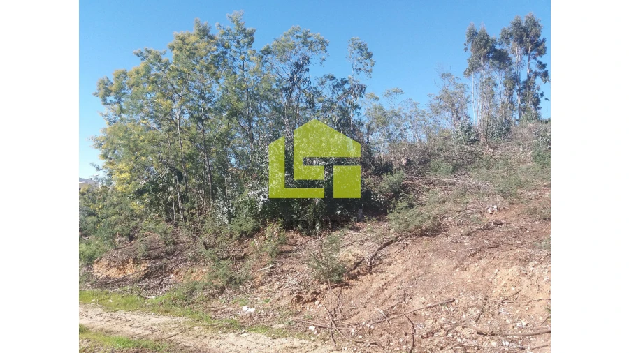Terreno para Venda em São Martinho de Árvore e Lamarosa Foto 3