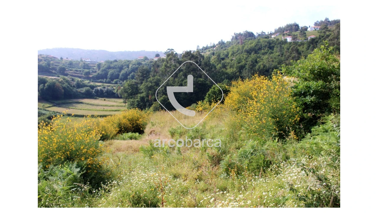 Terreno para Venda em Labrujó, Rendufe e Vilar do Monte Foto 1