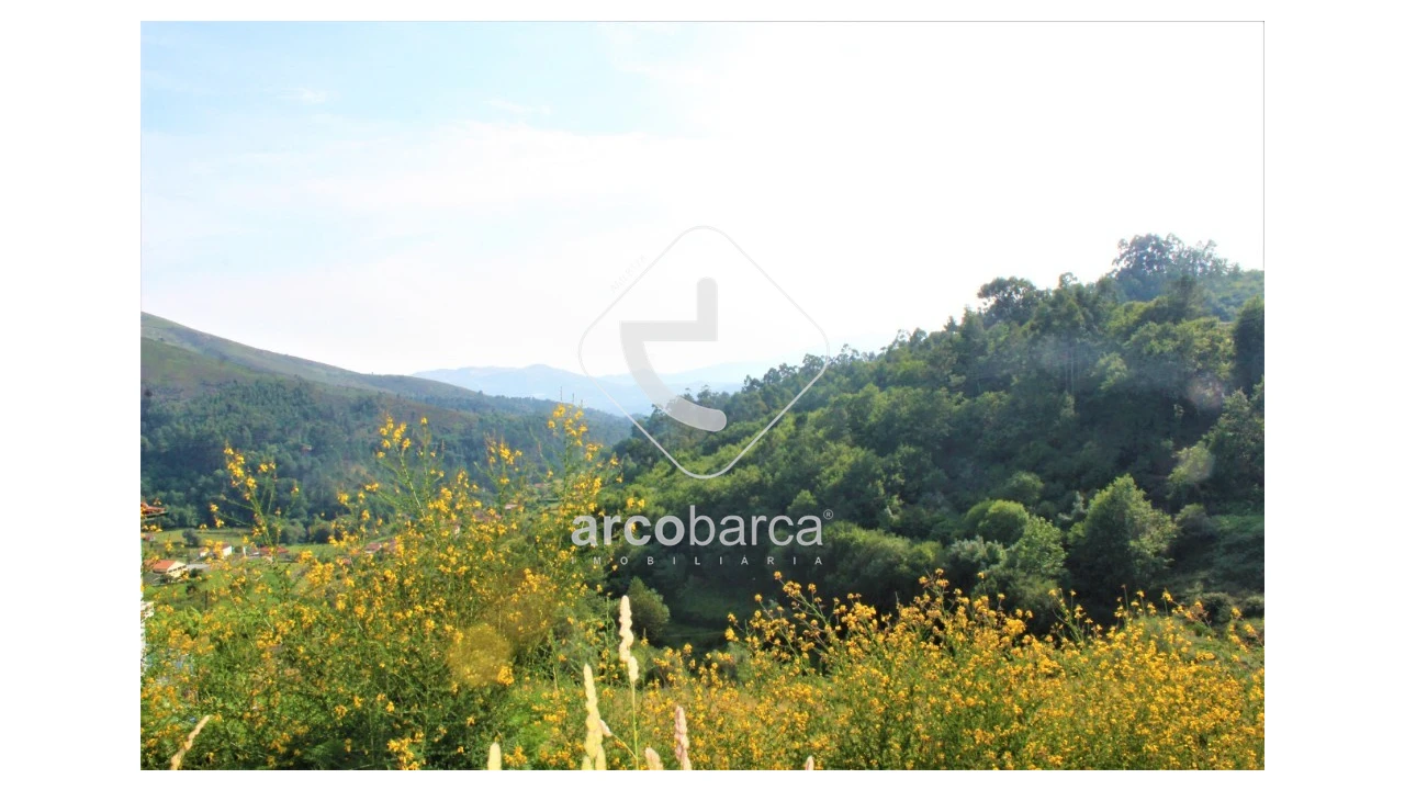 Terreno para Venda em Labrujó, Rendufe e Vilar do Monte Foto 6