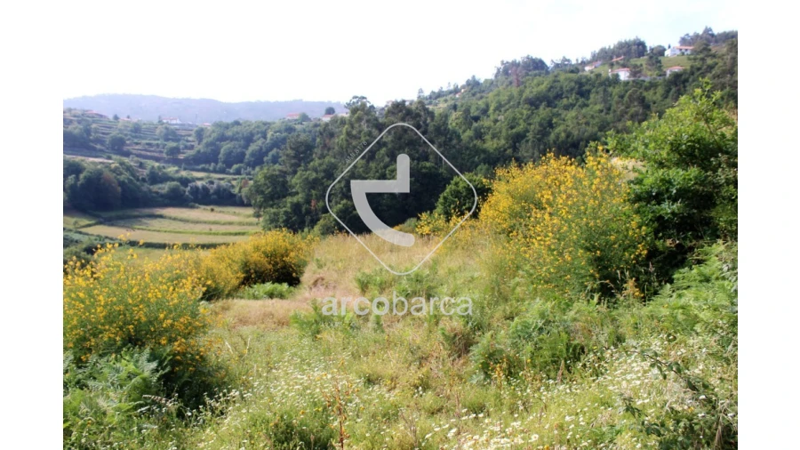 Terreno para Venda em Labrujó, Rendufe e Vilar do Monte Foto 1