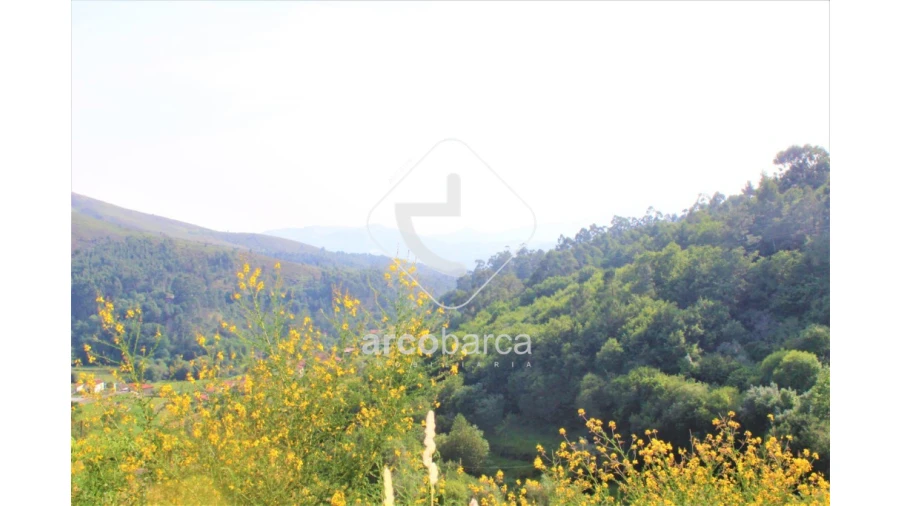 Terreno para Venda em Labrujó, Rendufe e Vilar do Monte Foto 9