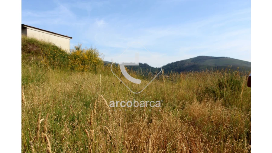 Terreno para Venda em Labrujó, Rendufe e Vilar do Monte Foto 5
