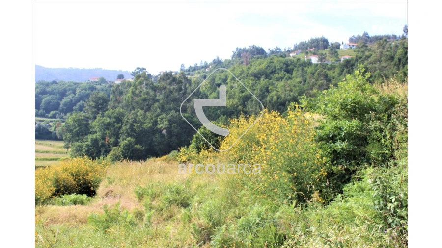 Terreno para Venda em Labrujó, Rendufe e Vilar do Monte Foto 11
