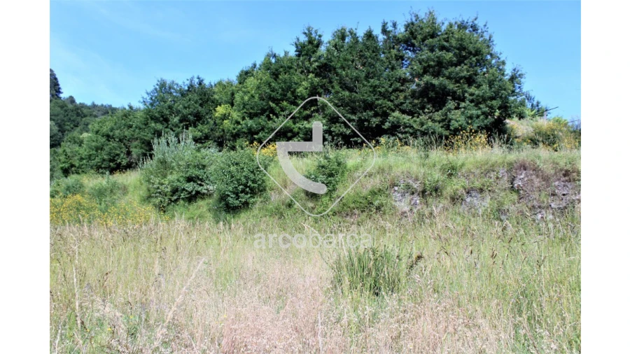 Terreno para Venda em Labrujó, Rendufe e Vilar do Monte Foto 4