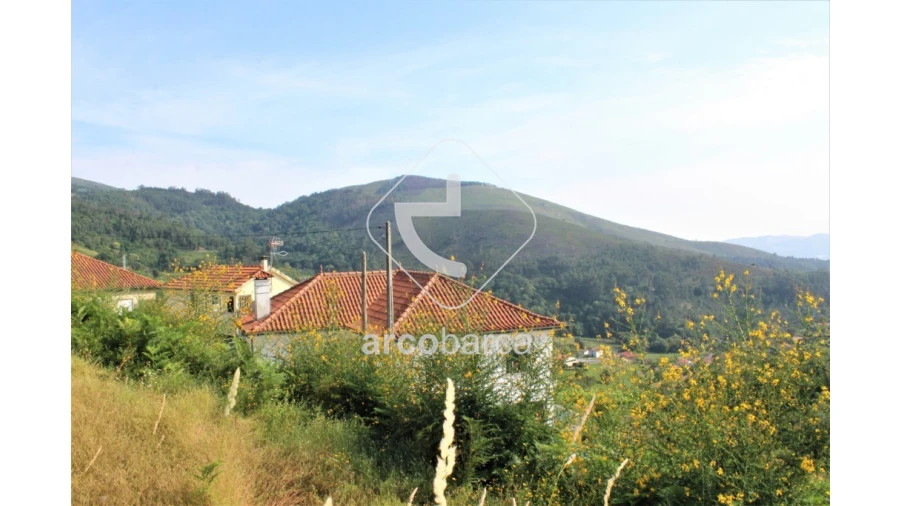 Terreno para Venda em Labrujó, Rendufe e Vilar do Monte Foto 8