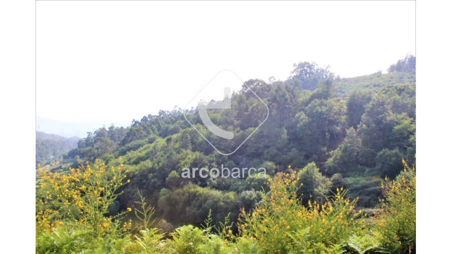 Terreno para Venda em Labrujó, Rendufe e Vilar do Monte Foto 10