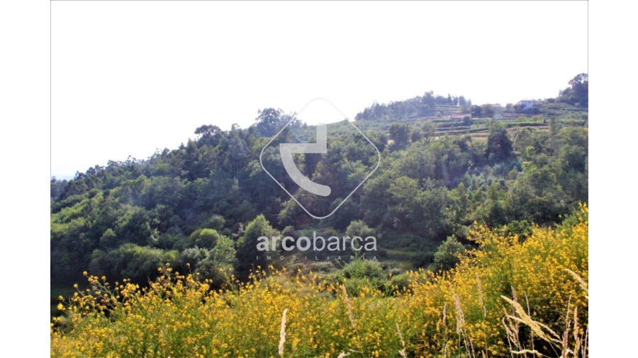 Terreno para Venda em Labrujó, Rendufe e Vilar do Monte Foto 7