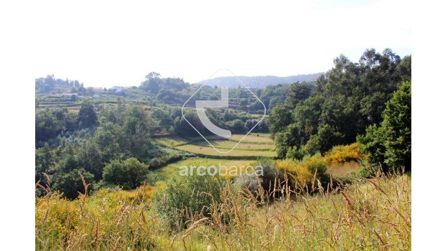 Terreno para Venda em Labrujó, Rendufe e Vilar do Monte Foto 3