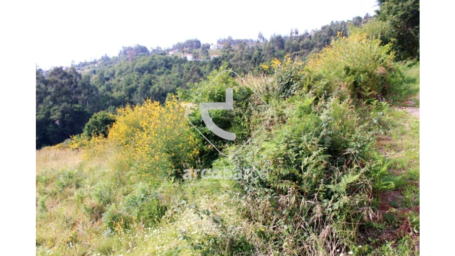 Terreno para Venda em Labrujó, Rendufe e Vilar do Monte Foto 2