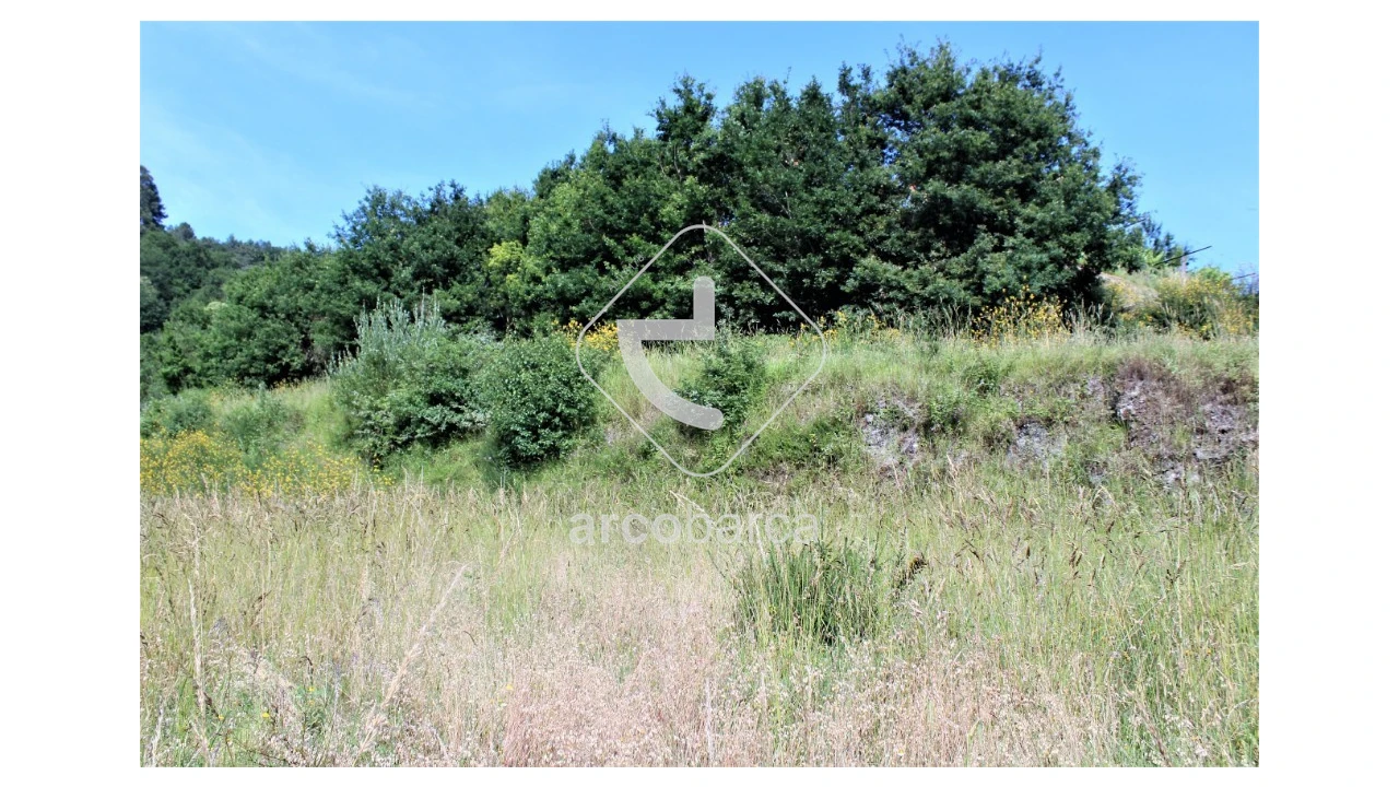 Terreno para Venda em Labrujó, Rendufe e Vilar do Monte Foto 4